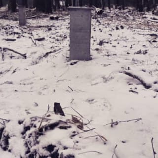 Фундаменты на забивных ЖБ сваях